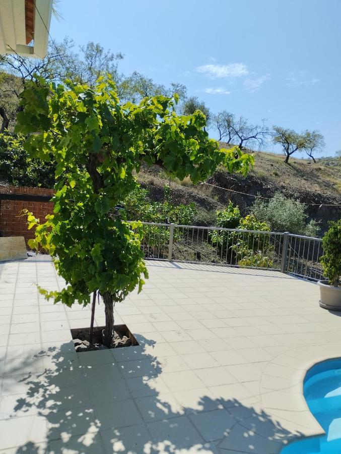 Villa Las Vinas مالقة المظهر الخارجي الصورة