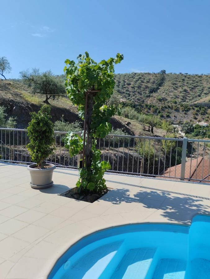 Villa Las Vinas مالقة المظهر الخارجي الصورة
